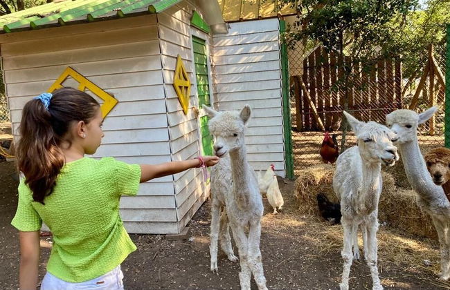 Natura Fun House & Camping - Photo 27