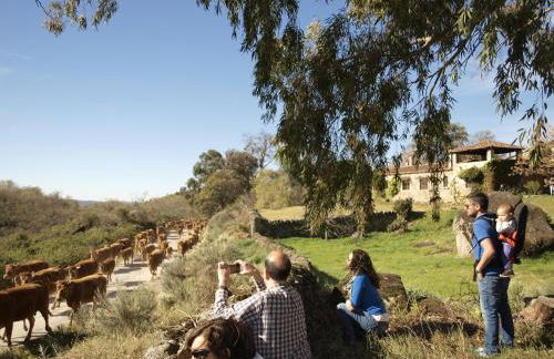 Casa Rural El Cabezo de Sierra de Gata - Foto 52