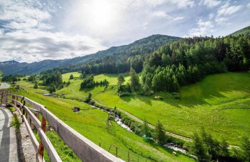 Pritscheshof Ferienwohnung Balkon - Foto 23