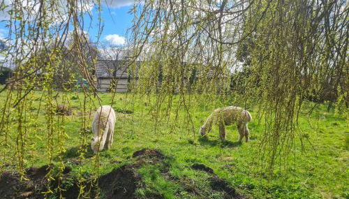 The Barn- Uk50811 - Foto 5