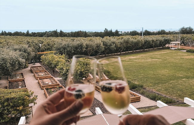 Quinta dos Perfumes - Photo 37