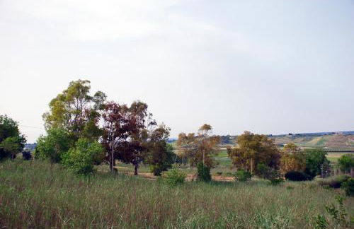 Villa Cipollazzo - Foto 34