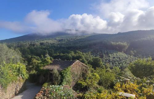 Casa da Latada - Foto 36