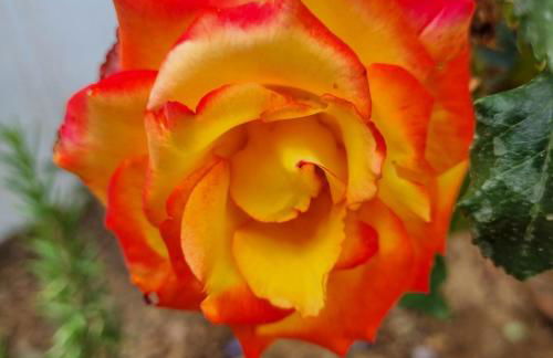 Infinity Wellness Apartment Hotel - Foto 38