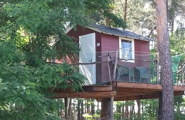 Scheunenhaus Kienspan - Foto 22