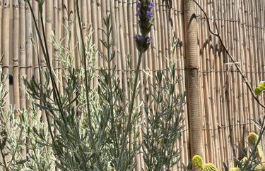 St Pauls Batsi - Foto 23