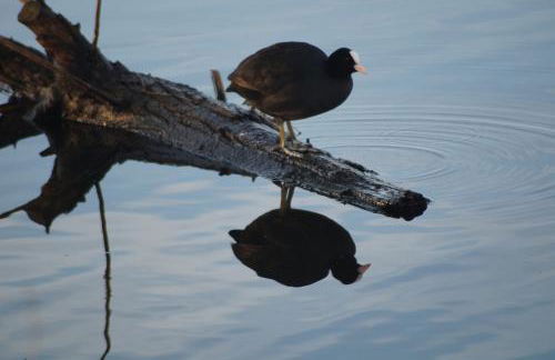 Ferienwohnung Casa Di Lago 2 - Foto 22