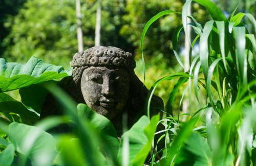 Jasmine Suite on Lush farm in Haiku, Maui jungle - Photo 58