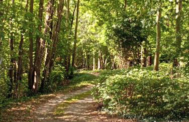 Gîte l'Olivianne - Foto 17