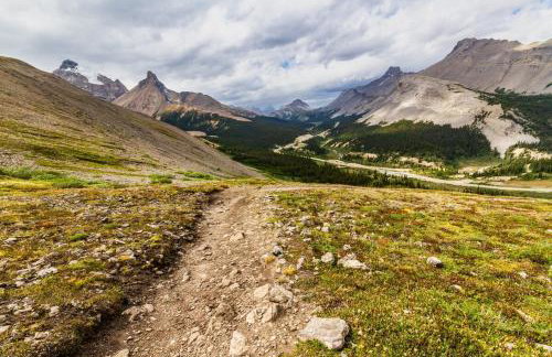 The Pine Getaway on 60 Acres with Hot Tub - Photo 15