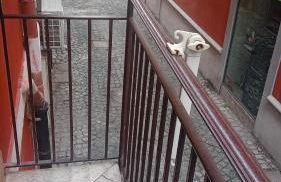 Casa Louis - Foto 28