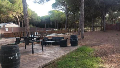 Casa Selene - Foto 5, Garden