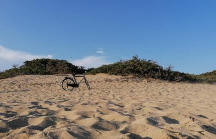 Villa tra gli ulivi - Foto 25