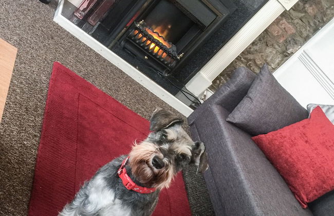 Parade Ope - Foto 16