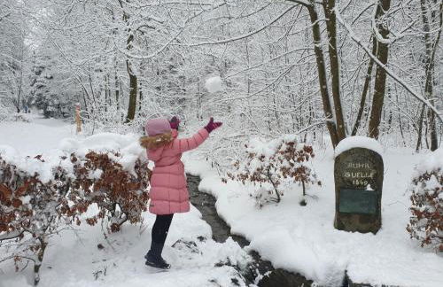 Ferienhaus Junge Ruhr - Foto 41