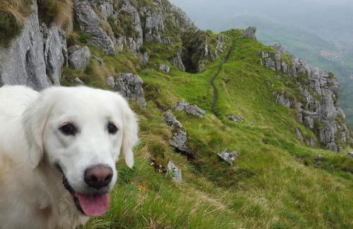 Casa de Aldea El Sol - Foto 29