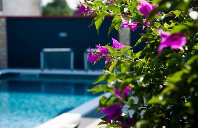 Villa Chervil Zadarvillas - Photo 13