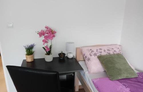 Apartmani Ani - Foto 10