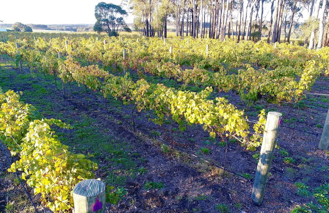 Margaret River Beach Apartments - Photo 55