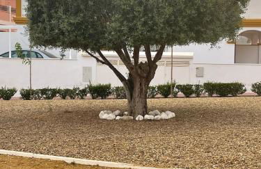 Adosado playa, geoda y Aguilas cerca, con barbacoa y piscina en San Juan de los terreros - Foto 18