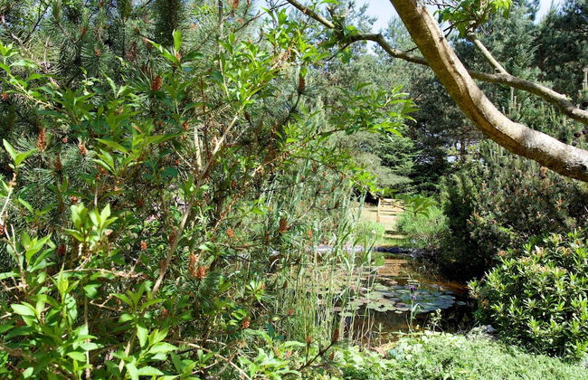 Attractive Holiday Home in Ahlbeck With Terrace - Foto 53