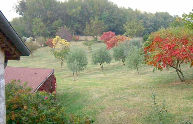 El Pavejo Alloggio e Colazione - Foto 70
