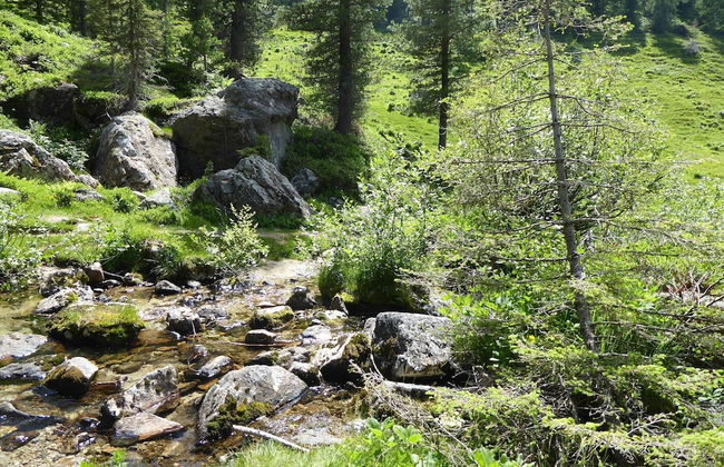 Family Retreat Near Garda - Photo 36