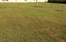 Tenuta Pizzi - Photo 42