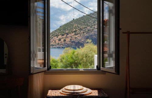 Casa olive - Foto 24