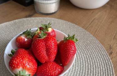 APARTAMENT KASZMIR w KRÓLEWSKIM SANDOMIERZU - Photo 5