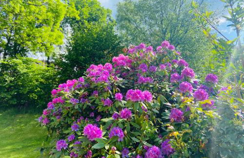 Ferienhof Alte Wildmeisterei - Fewo Gartenblick - Foto 29