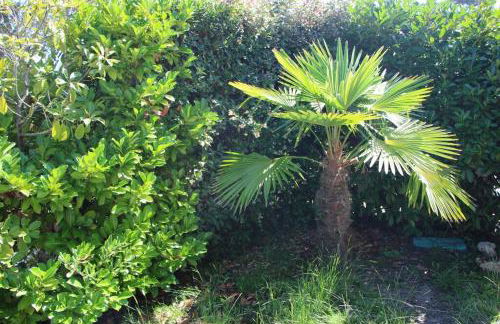 Maison Indépendante Bass Arcachon 10min pied plage - Foto 27