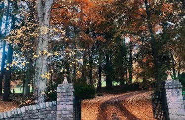 Gardeners cottage - Foto 15