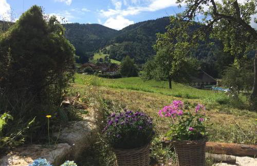 Historisches Schwarzwaldhaus - Foto 13