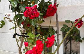 Apartments Oxygen - Foto 60