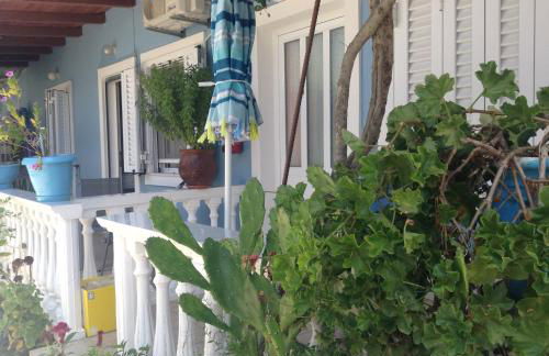 Dina Studios - Photo 29