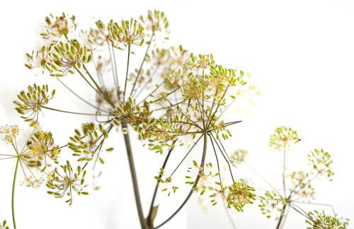 Luxury villa - breathtaking views - hot tub - 15' to beach - Foto 53