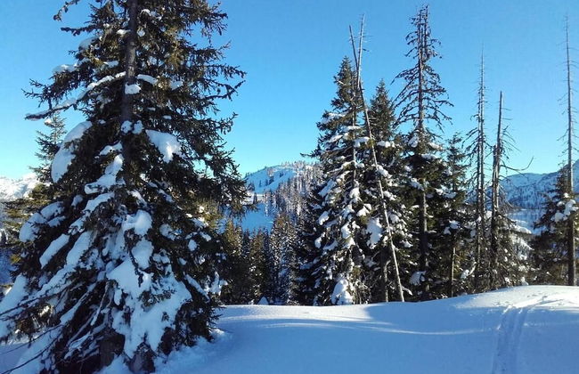 Room-holiday Home Kahr Apartment Roßbran - Photo 27