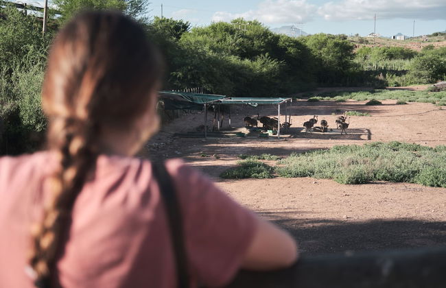 AfriCamps Klein Karoo - Foto 17