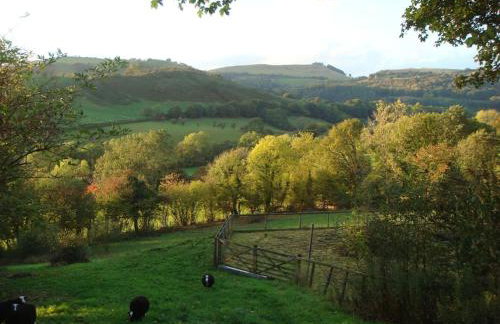 A Tranquil Retreat for Two - Foto 15