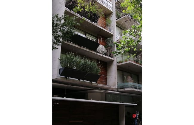 Destination Condesa @Tamaulipas Loft - Foto 17