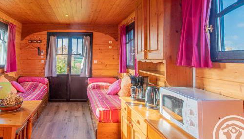 Roulotte climatisée avec piscine et jardin - FR-1-622-54 - Photo 2