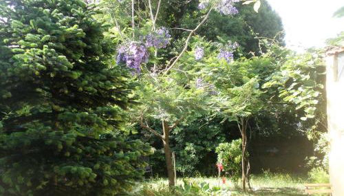 Porto.arte guest apartments - Foto 4, Garden, Garden view