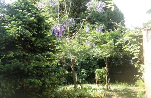 Porto.arte guest apartments - Foto 4