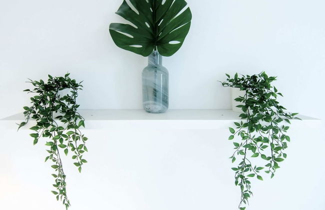 Bright 1 Bedroom Studio With Amazing City Views - Foto 15