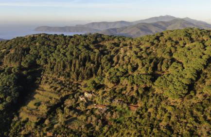 Aria di Collina - Isola d'Elba - Foto 14