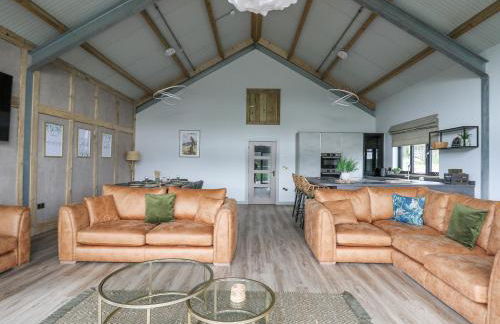 Barcud Coch - Red Kite - Photo 6