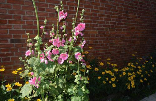 Agro Przy Kominku - Foto 19