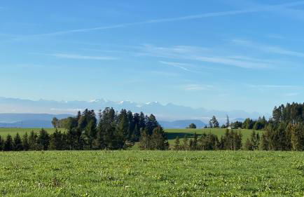 Schwarzwaldnest Dachsberg - Foto 18