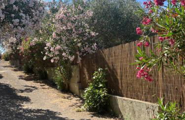 Villa Capalbio - Foto 46